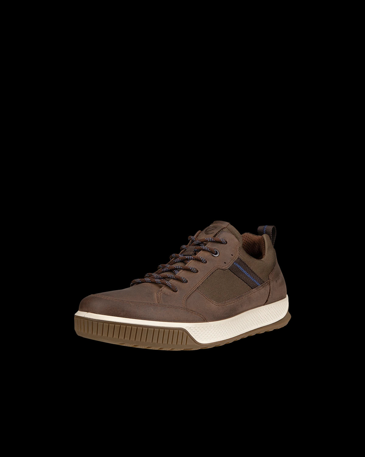 Ecco Byway Tred Gore-Tex Shoe