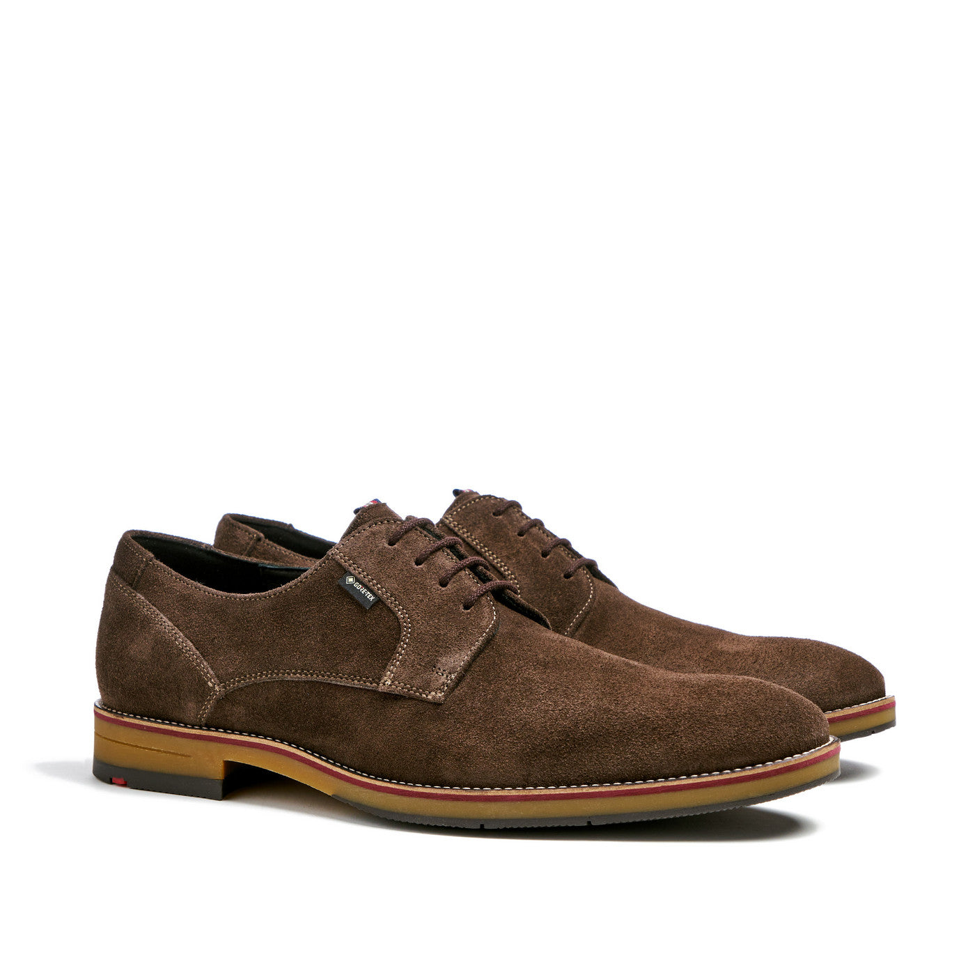 Lloyd Vickers Suede Shoe