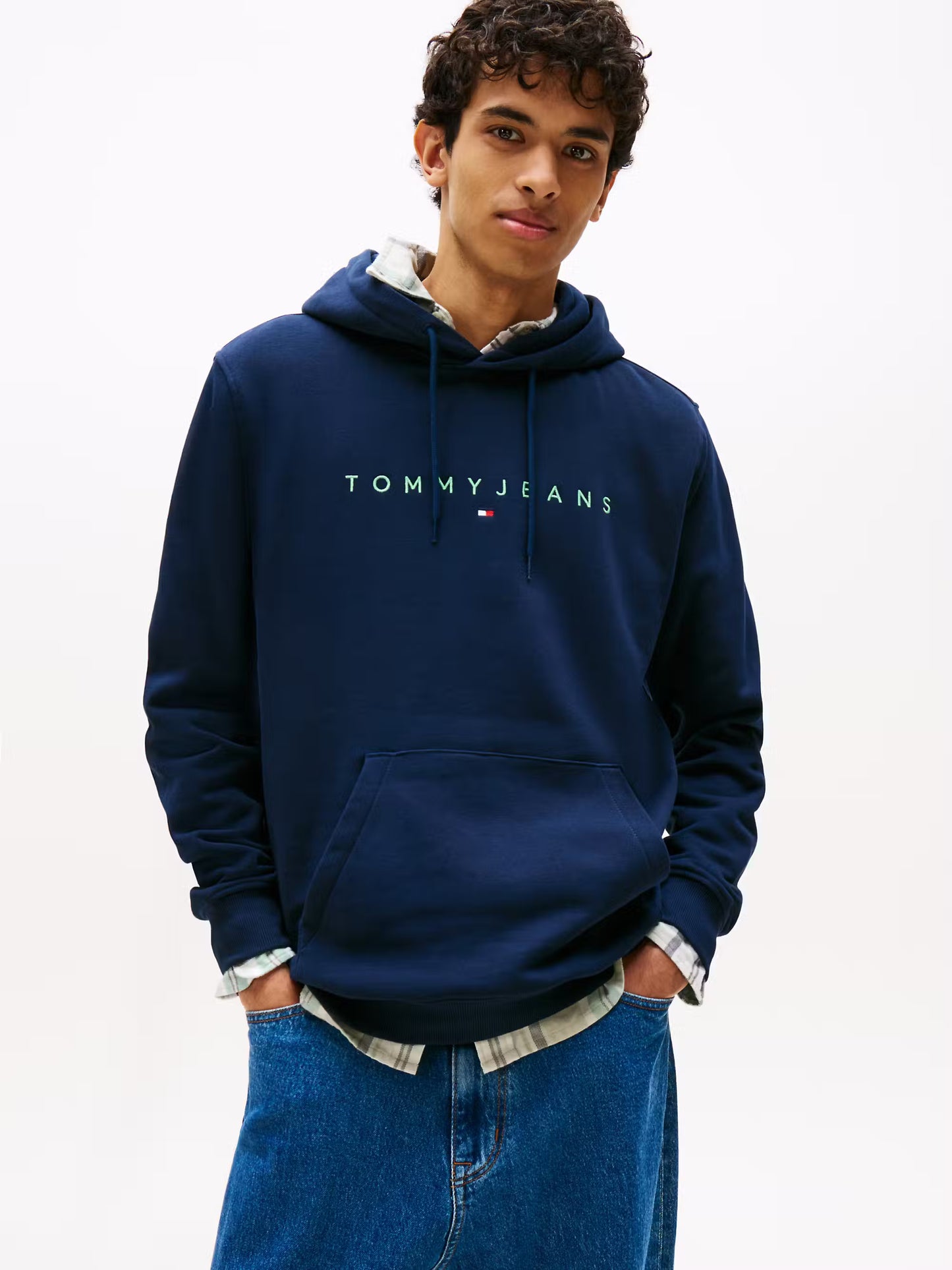 Regular Fit Linear Hoodie