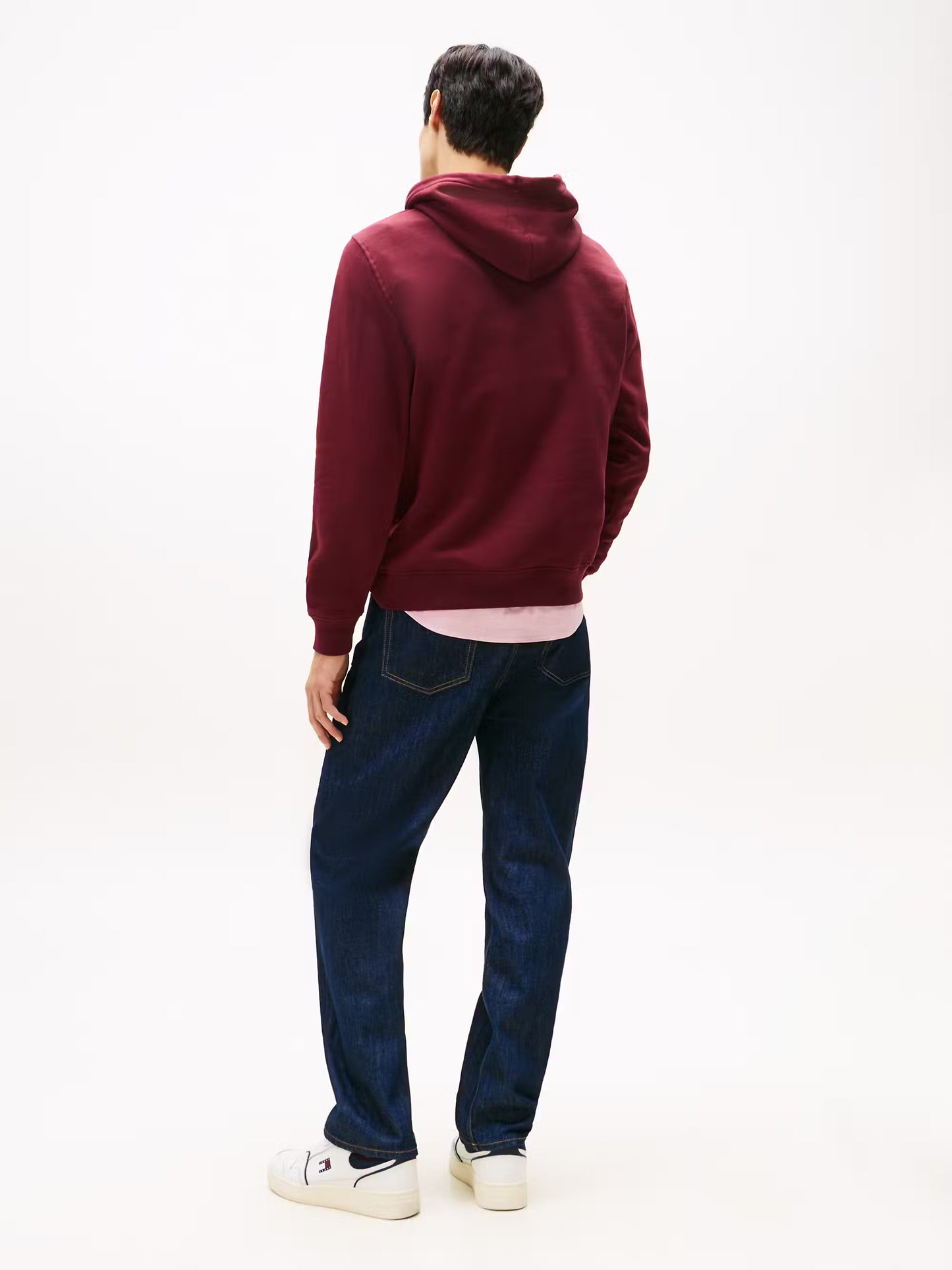 Regular Fit Linear Hoodie