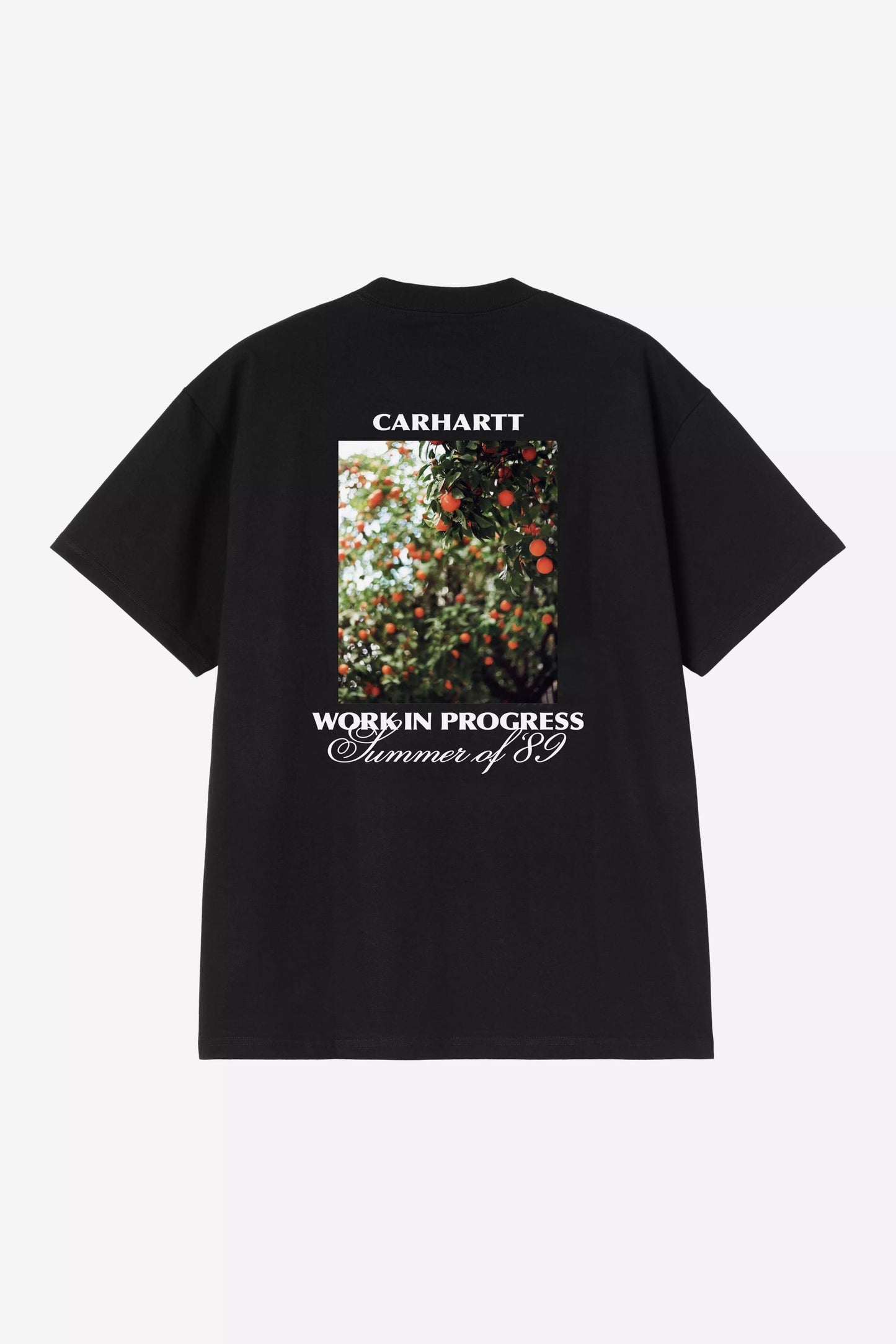 Carhartt WIP Warm Views T-Shirt