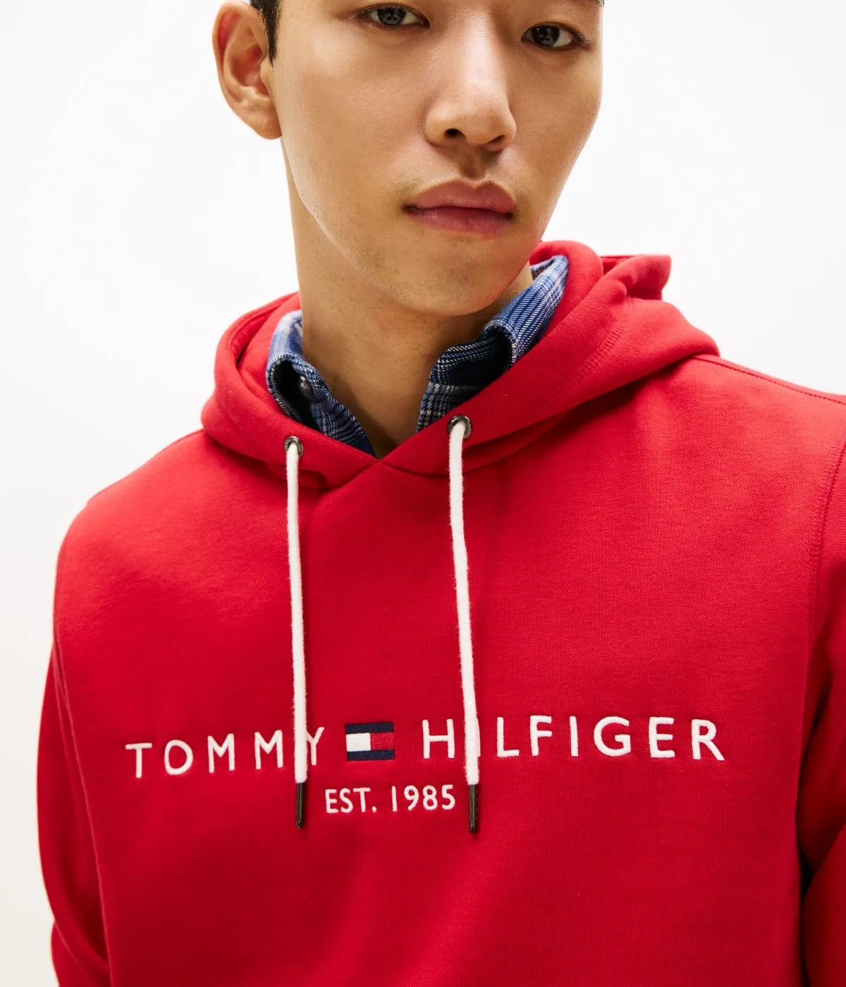 Tommy Hilfiger Logo Hoody